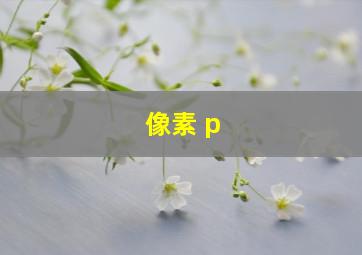 像素 p